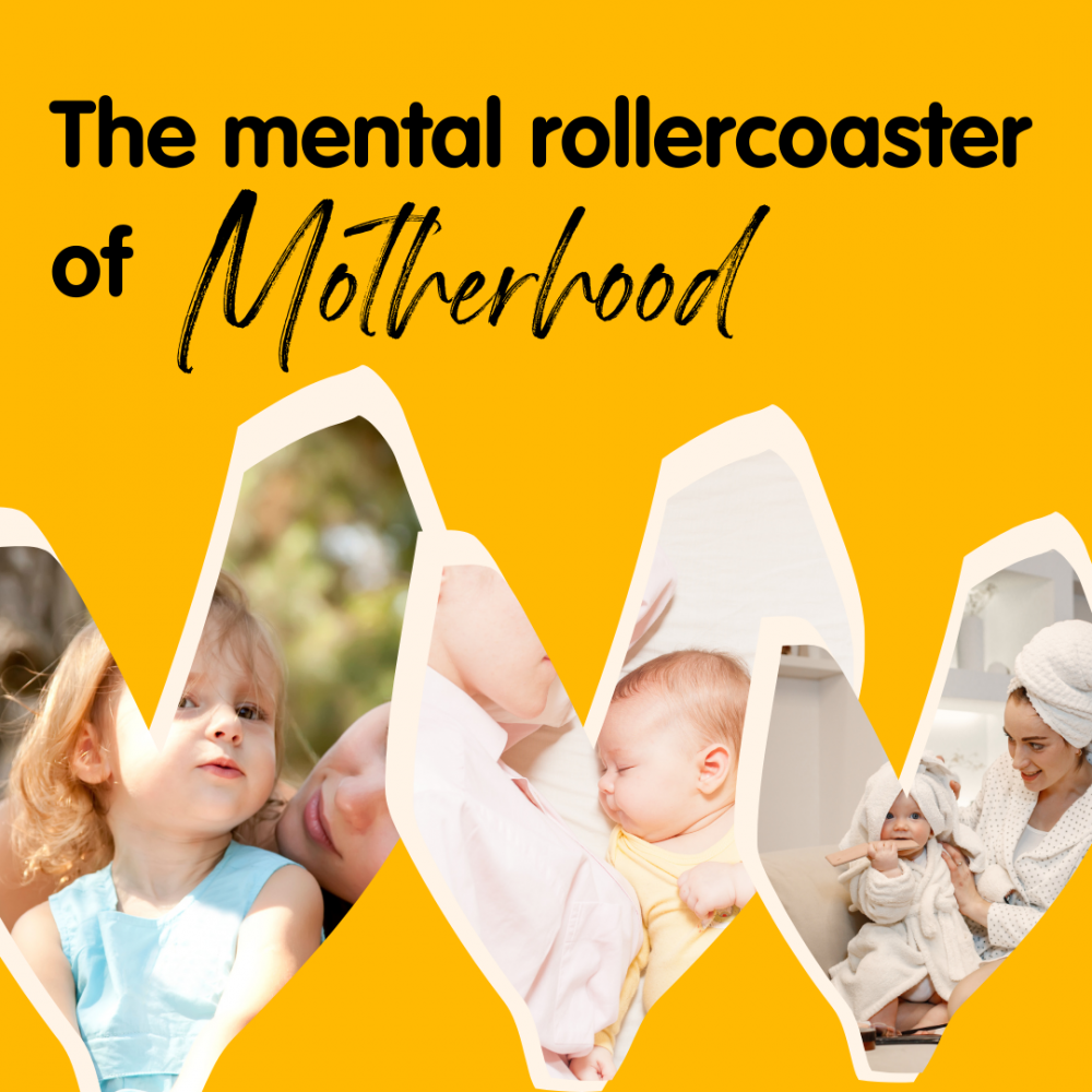 The Rollercoaster of Motherhood